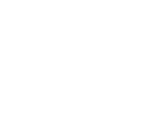 Vegaboost